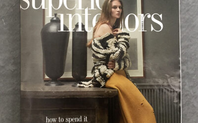 Designer Profile article in the Financial Times Superior Interiors